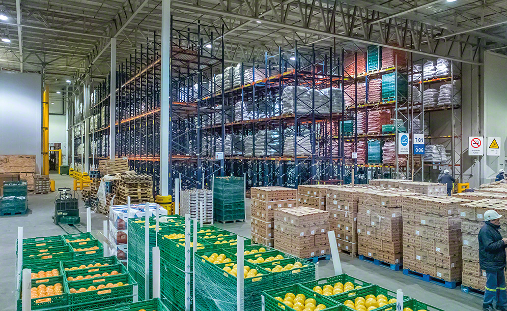 Magazyn sieci supermarketów Coto w Nueve de Abril do składowania owoców i warzyw
